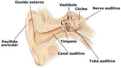 Zumbido Nos Ouvidos (Tinnitus): Tratamento em Portugal, Lisboa